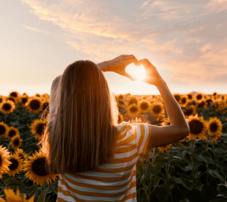 GIRASOLES MOVIMIENTO 4D
